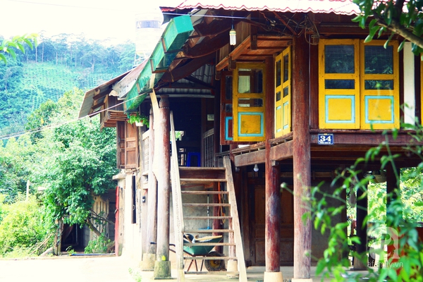 Cô gái người Tày bỏ phố thị phồn hoa về quê làm homestay du lịch 